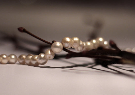 Pearls: The Ruler of Gemstones